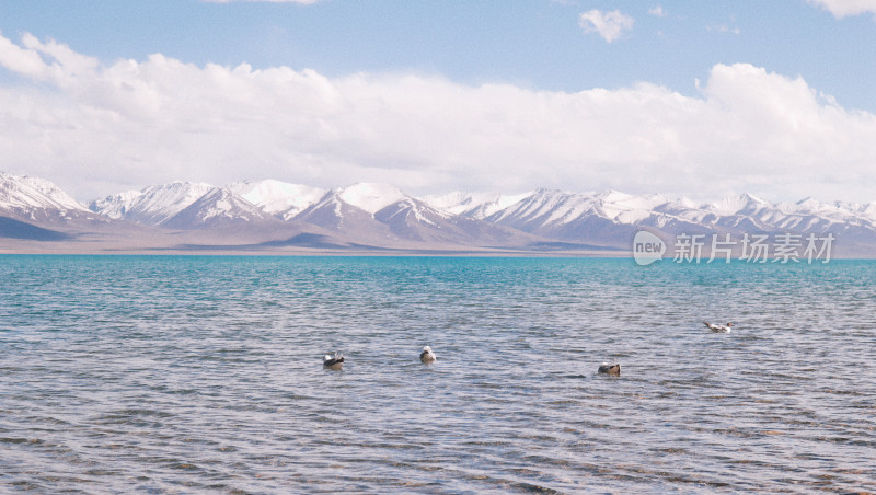雪山下的蓝色湖泊与飞鸟