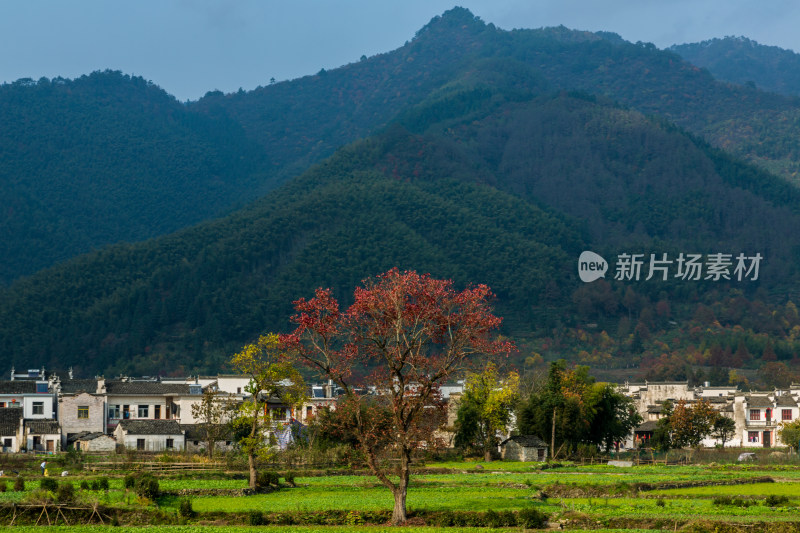 秋天的徽州古村