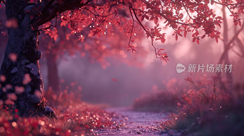 日出清晨唯美红色树叶小路