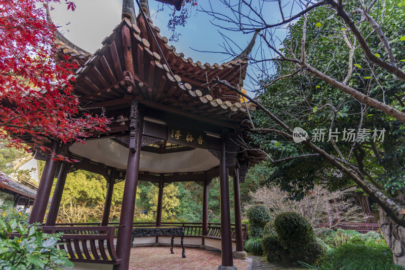 杭州栖霞岭黄龙洞景点风景