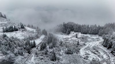 重庆酉阳：大雪纷飞赏雪忙