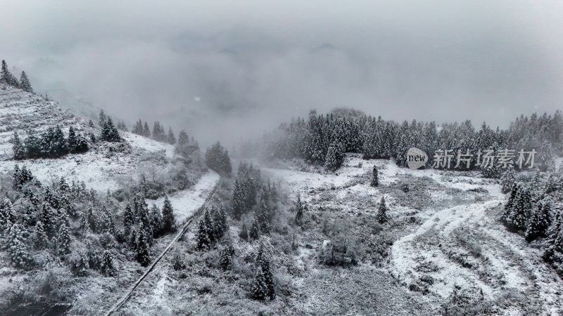 重庆酉阳：大雪纷飞赏雪忙