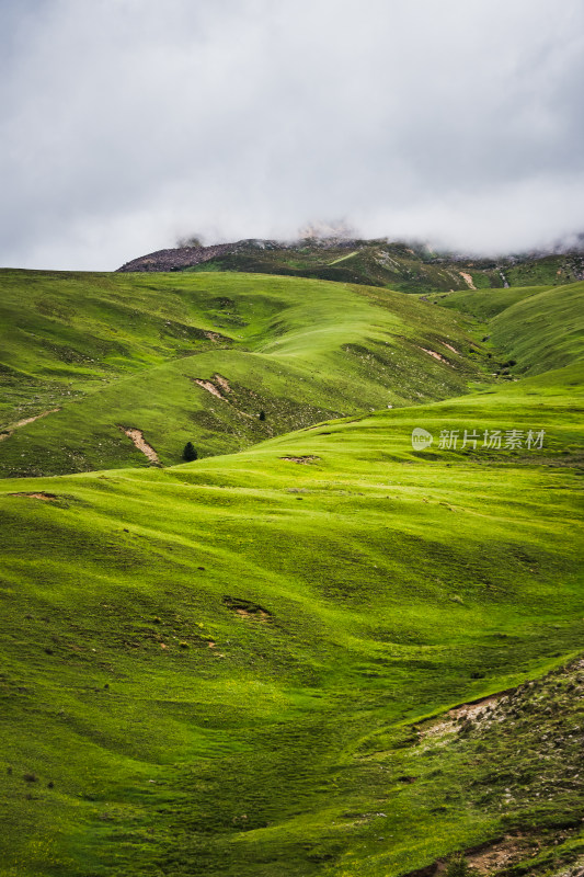 蓝天白云下广袤草原与连绵山峦自然风景