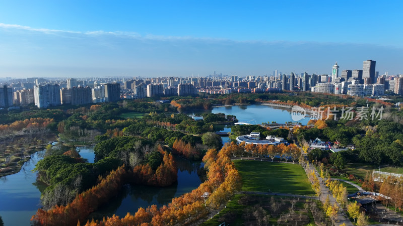 上海世纪公园秋天风景