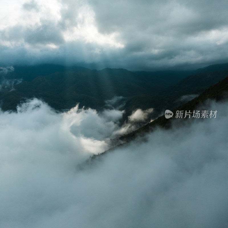 金平大山里的体积光