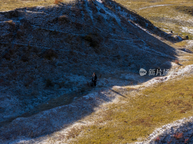 四川新都桥秋天早晨下雪积雪彩林