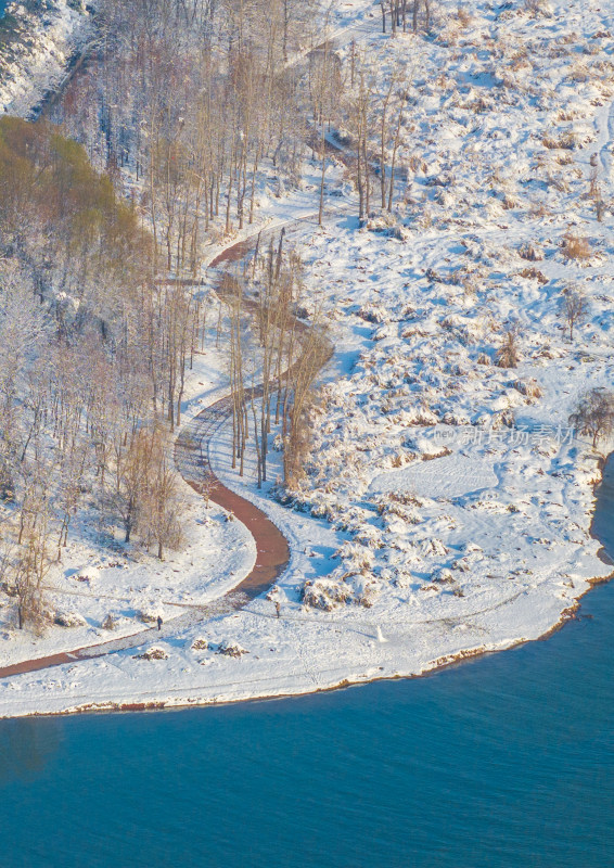 冬日雪地里的小路