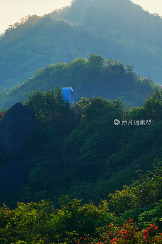 长沙市浏阳大围山杜鹃花海风光