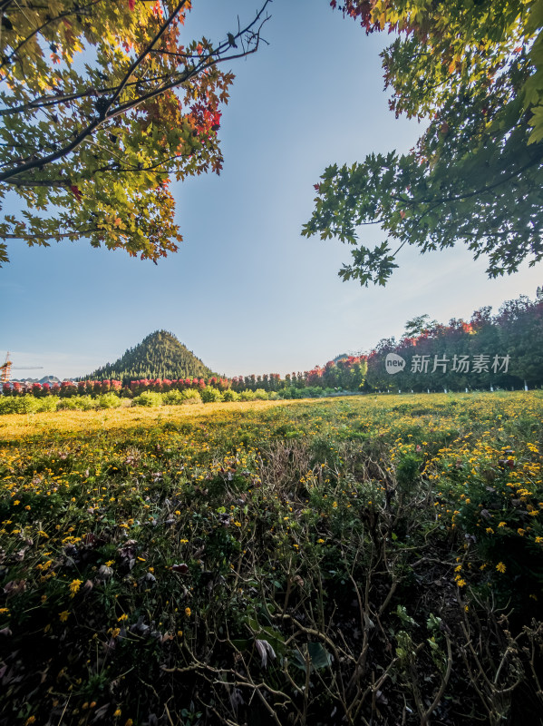 秋天兴义市贵州醇景区