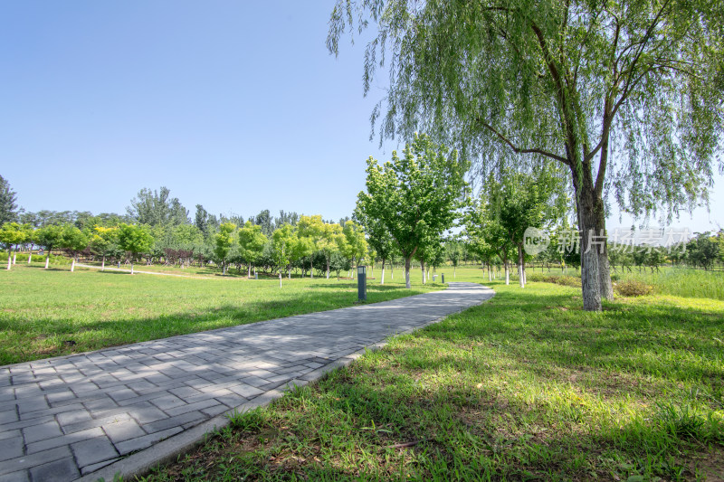 夏末北京昌平未来科学城公园