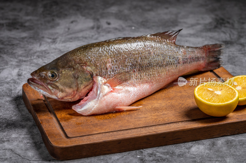 生鲜鲈鱼食材