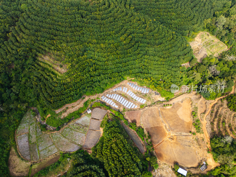 航拍山区绿色生态农业景观