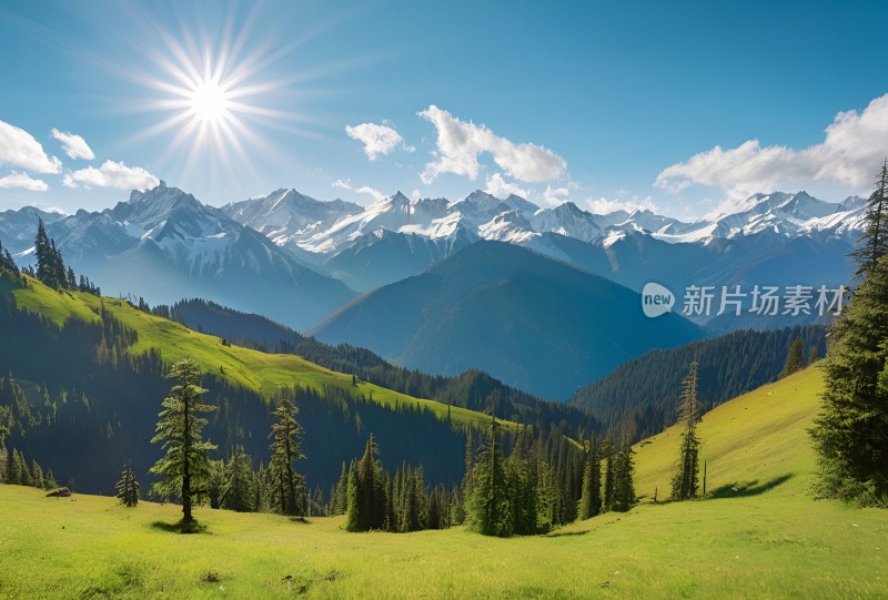 雪山草原森林风景