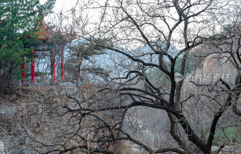 青岛崂山北九水景区，秋冬时节的荒芜景色