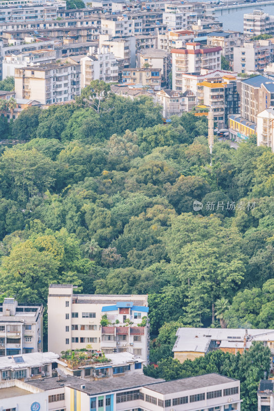 广西柳州市中心城市绿地与居民楼