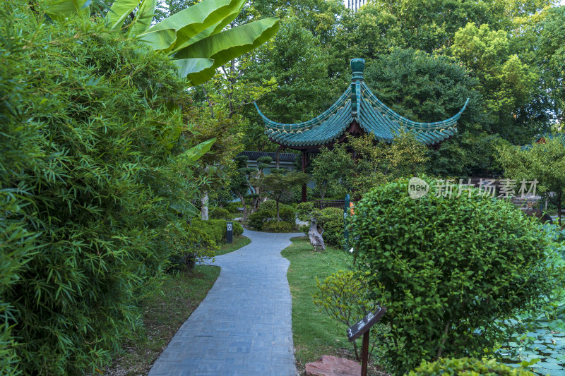 武汉江岸区解放公园风景