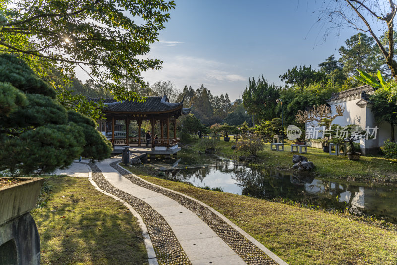 杭州西子湖畔杭州花圃风景