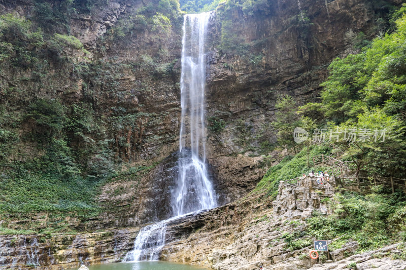 湖北宜昌三峡竹海风景区，自然风光，竹海