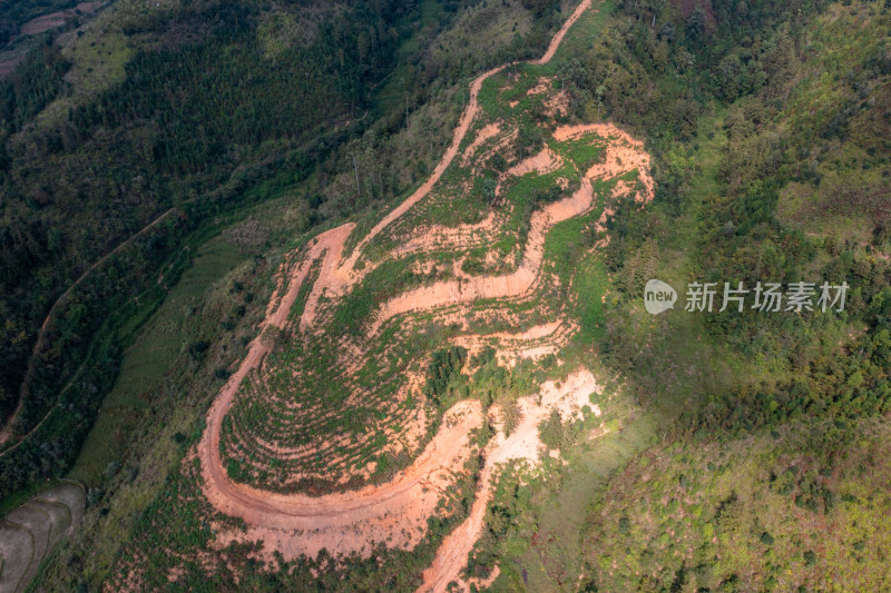 梯田上的绿色希望 仙人掌种植基地