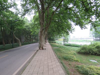 江苏无锡太湖鼋头渚风景区