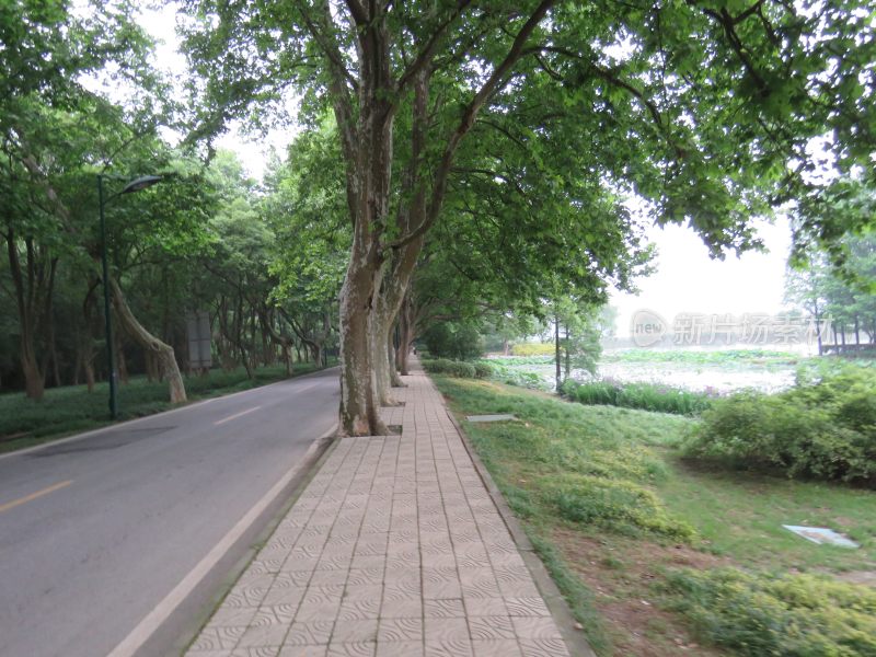 江苏无锡太湖鼋头渚风景区