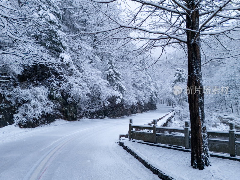 南阳老界岭冬季雪景风光