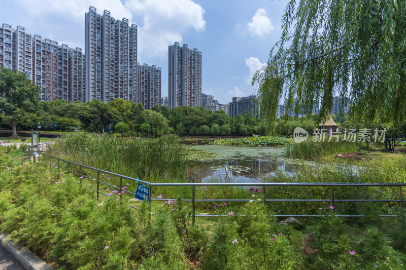 武汉关山荷兰风情园风景