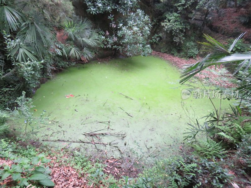 江苏无锡太湖鼋头渚风景区