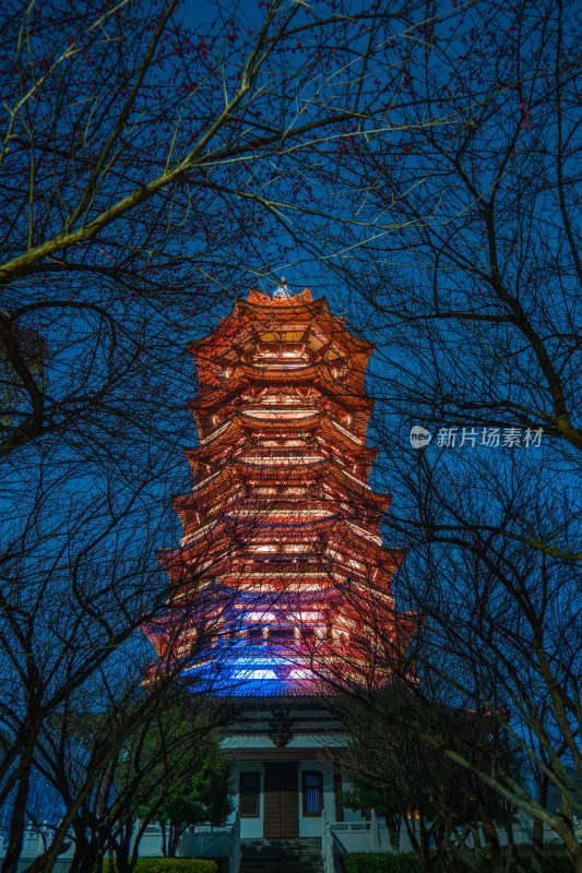 长沙洋湖湿地公园白鹭塔梅林夜景