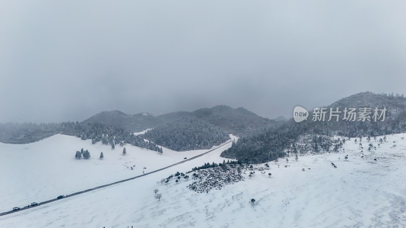 重庆酉阳：大雪纷飞赏雪忙