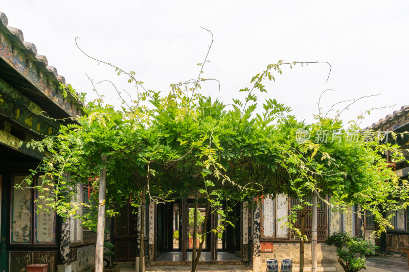 建水朱家花园古色古香的庭院