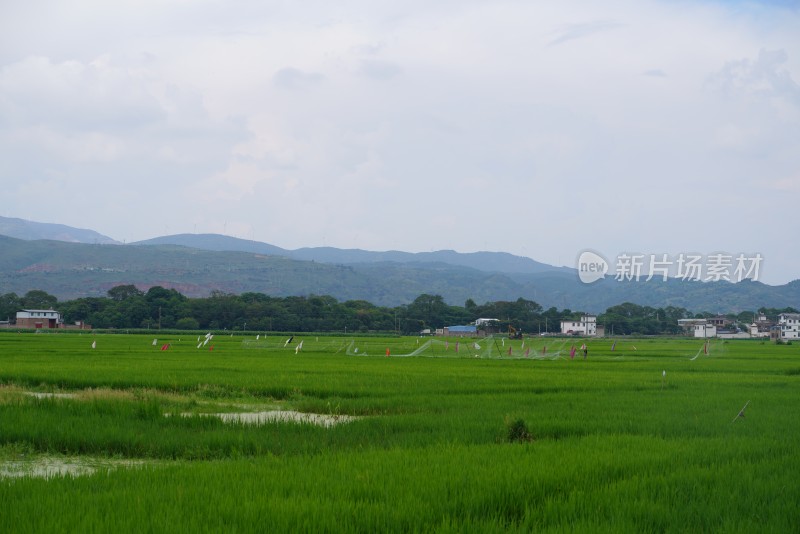 田野乡村与远山风景