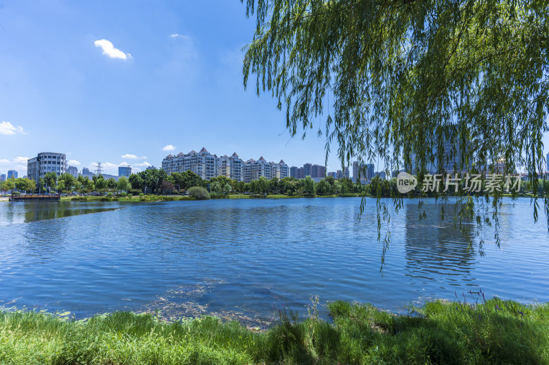 武汉武昌区内沙湖公园风景