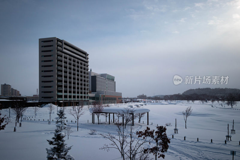 冬日雪景中的高楼建筑景象