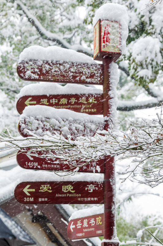 湖南大学雪景