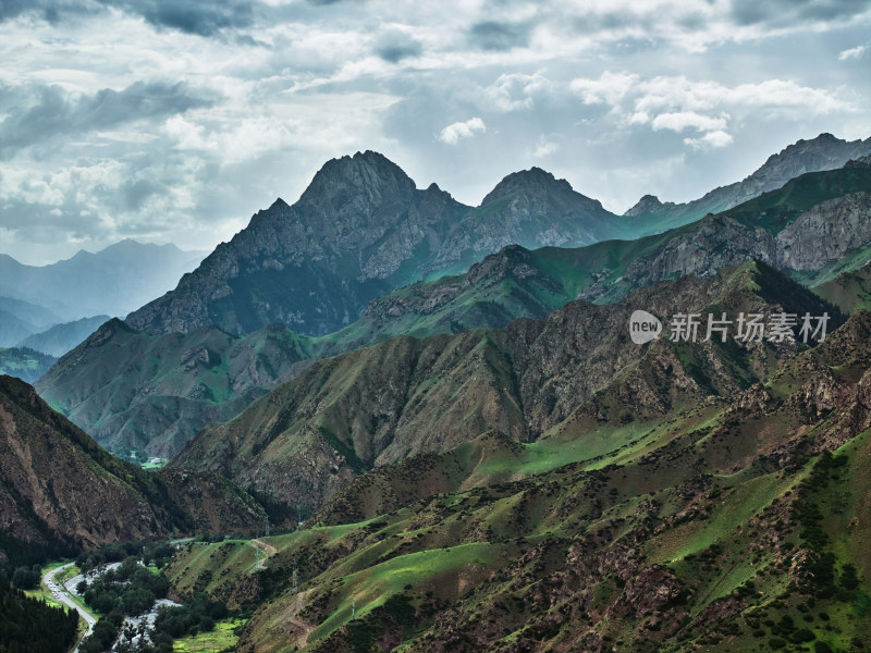 独库公路的高山森林