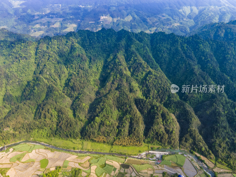 美丽乡村田园农业种植农田航拍