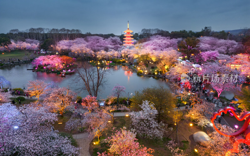 武汉东湖樱园夜景