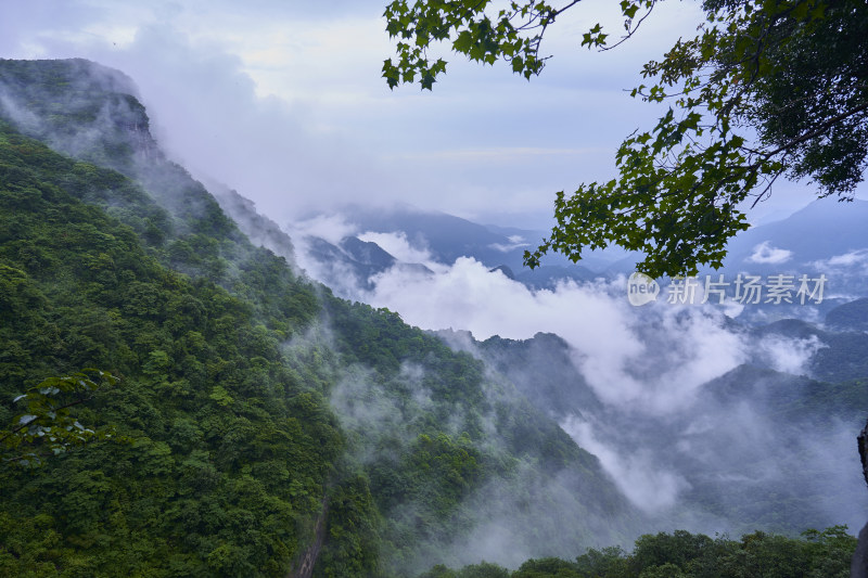 云雾缭绕的金佛山