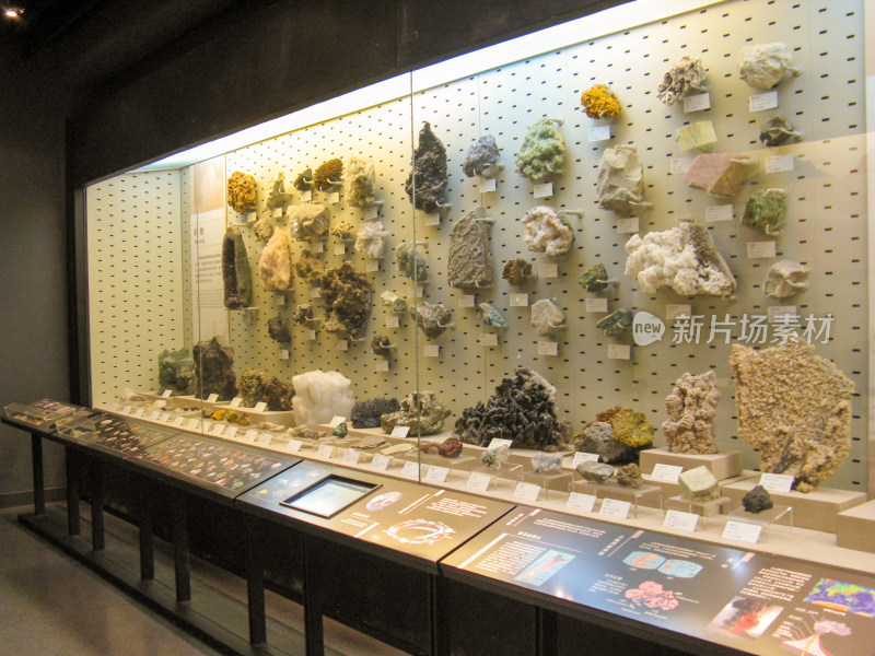 位于杭州的浙江自然博物馆与内部展品