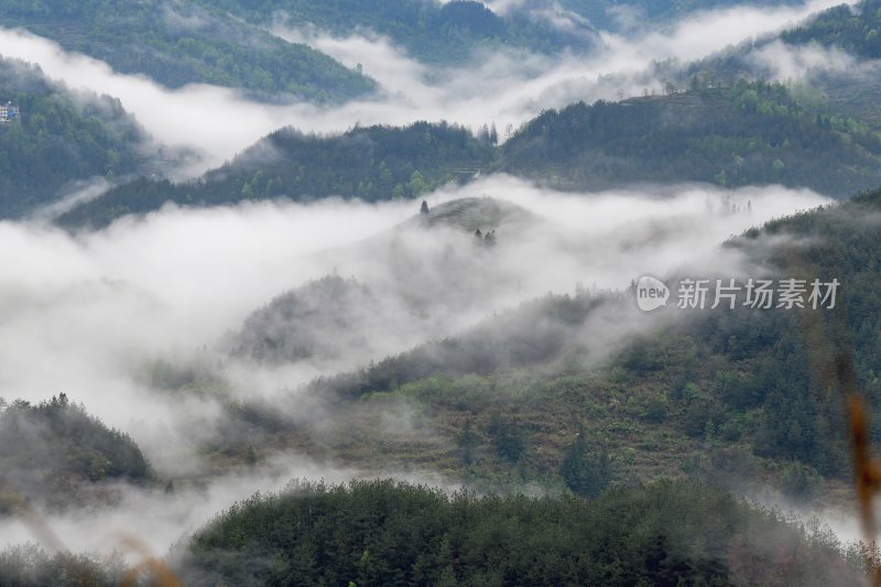 重庆酉阳：雾漫缭绕美青山