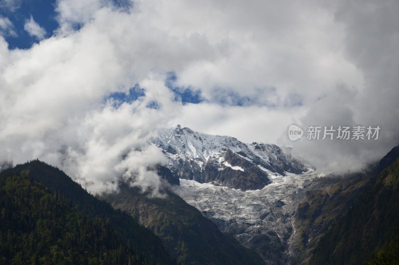 高原上的雪上绿树