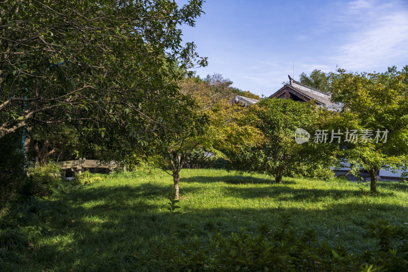 杭州西湖风景区曲院风荷风景