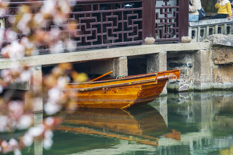 苏州园林网师园彩霞池边盛开的紫叶李与木船