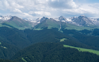 夏天的新疆喀拉峻草原后山