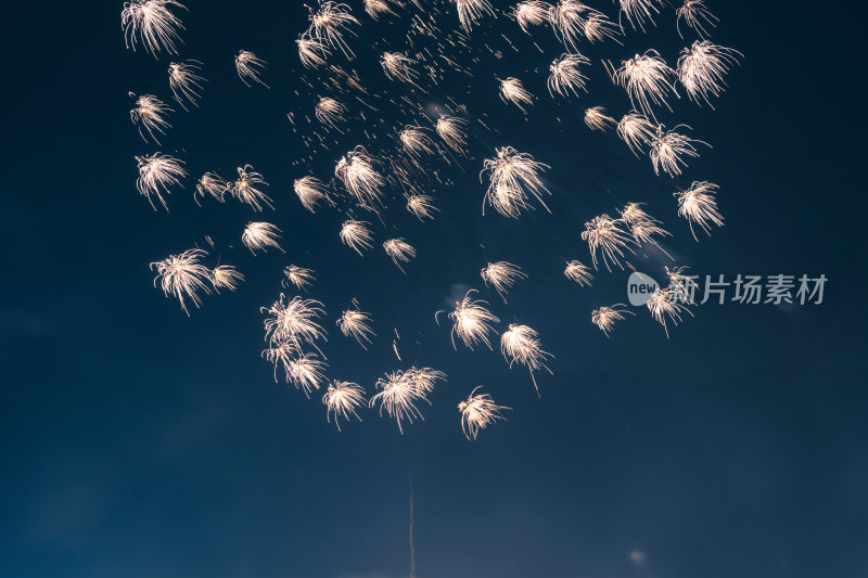 春节烟花绽放夜空