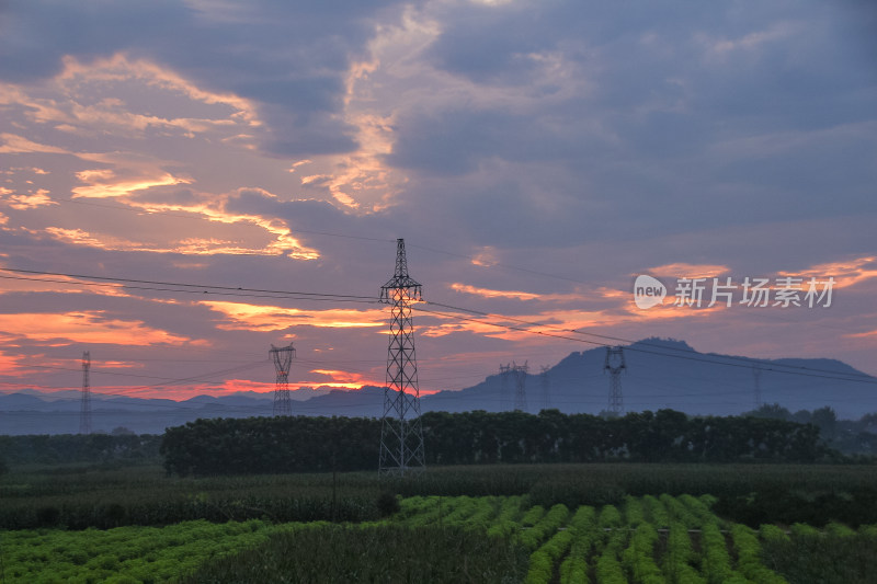 夕阳余晖下的田野