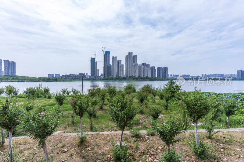 武汉江夏区汤逊湖壹号湿地公园风景