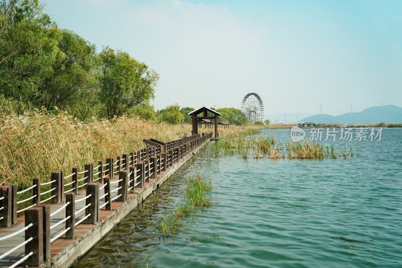 太湖湖滨国家湿地木栈道