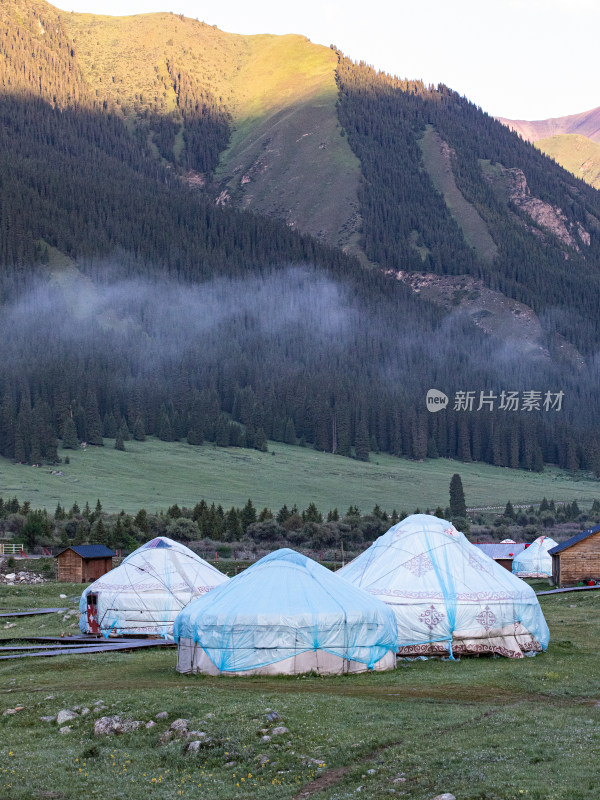 早晨晨雾中的草原森林和蒙古包的自然风景